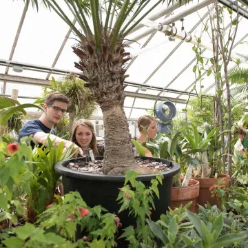 Biology students studying plant life in one of 澳门葡京网赌送彩金's three greenhouses