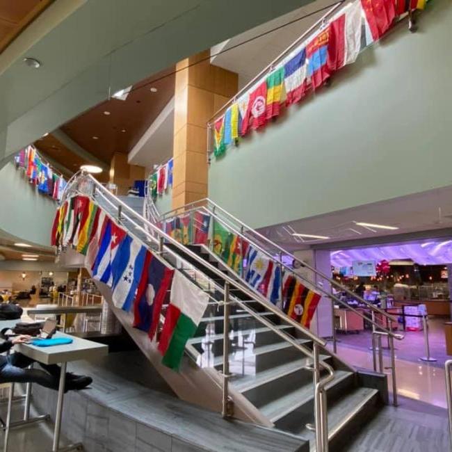 Flags in Davies Student Center